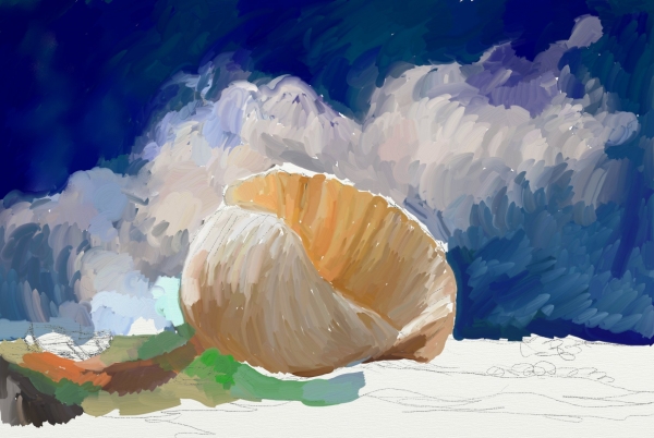 Creation of shell in the sand: Step 2